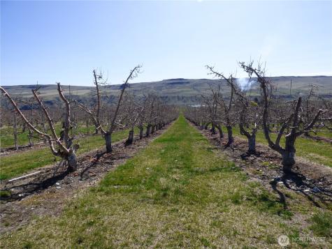 618 Jack Wells Road Bridgeport WA 98813