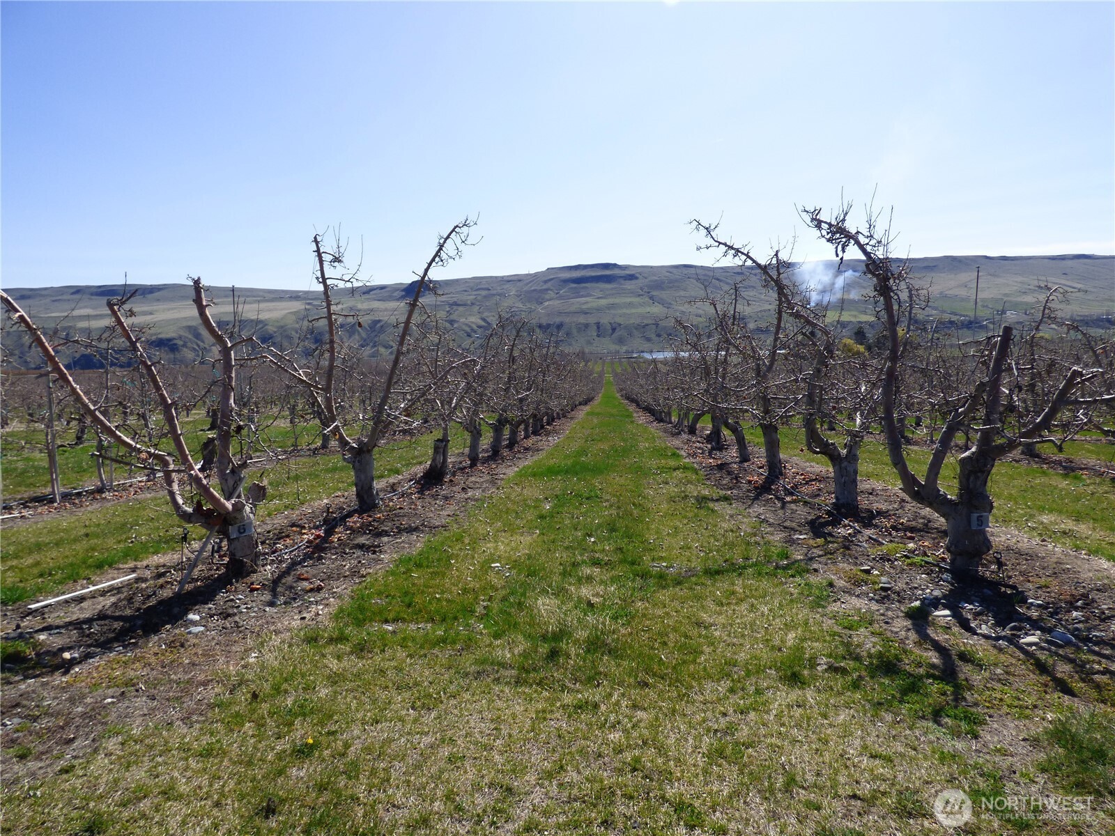 618 Jack Wells Road Bridgeport WA 98813
