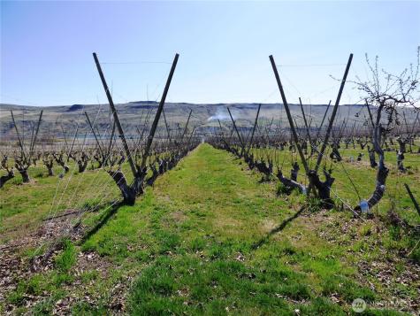 618 Jack Wells Road Bridgeport WA 98813