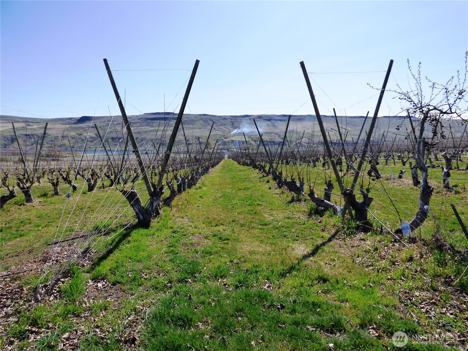 618 Jack Wells Road Bridgeport WA 98813