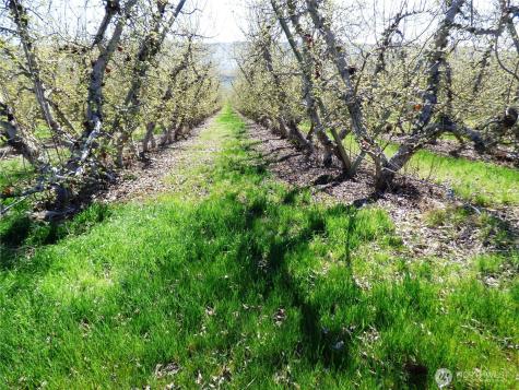 618 Jack Wells Road Bridgeport WA 98813