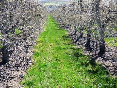 618 Jack Wells Road Bridgeport WA 98813