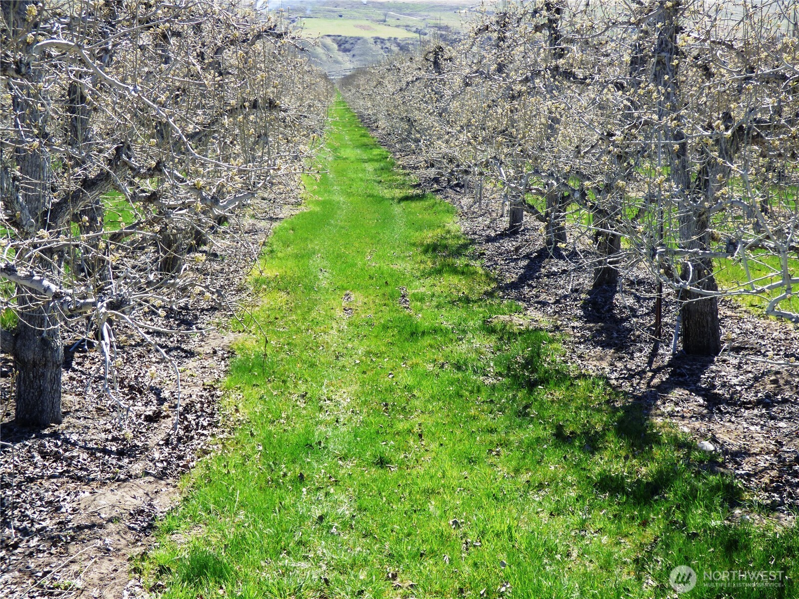618 Jack Wells Road Bridgeport WA 98813