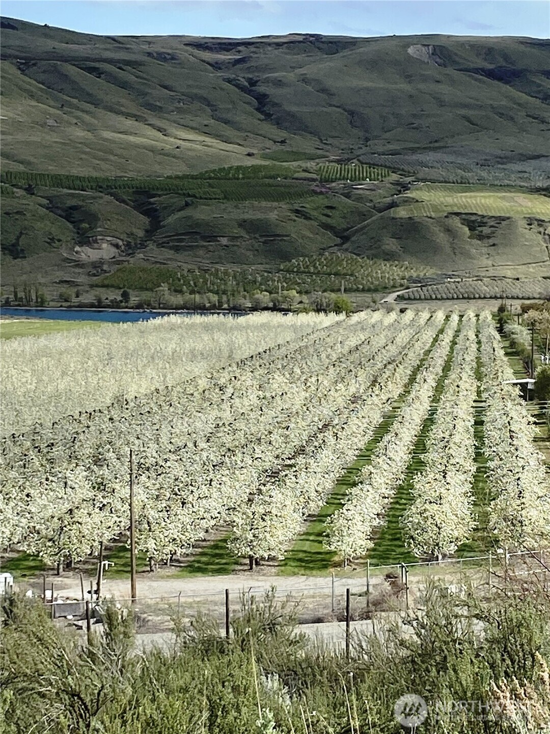 618 Jack Wells Road Bridgeport WA 98813