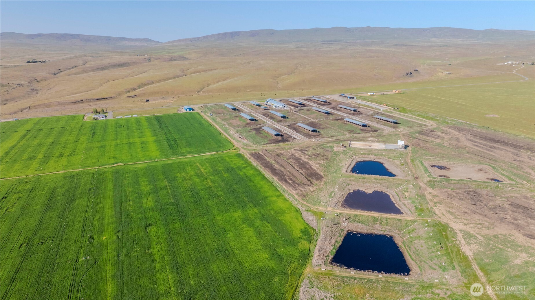 1400 Lewandowski Road Sunnyside WA 98944
