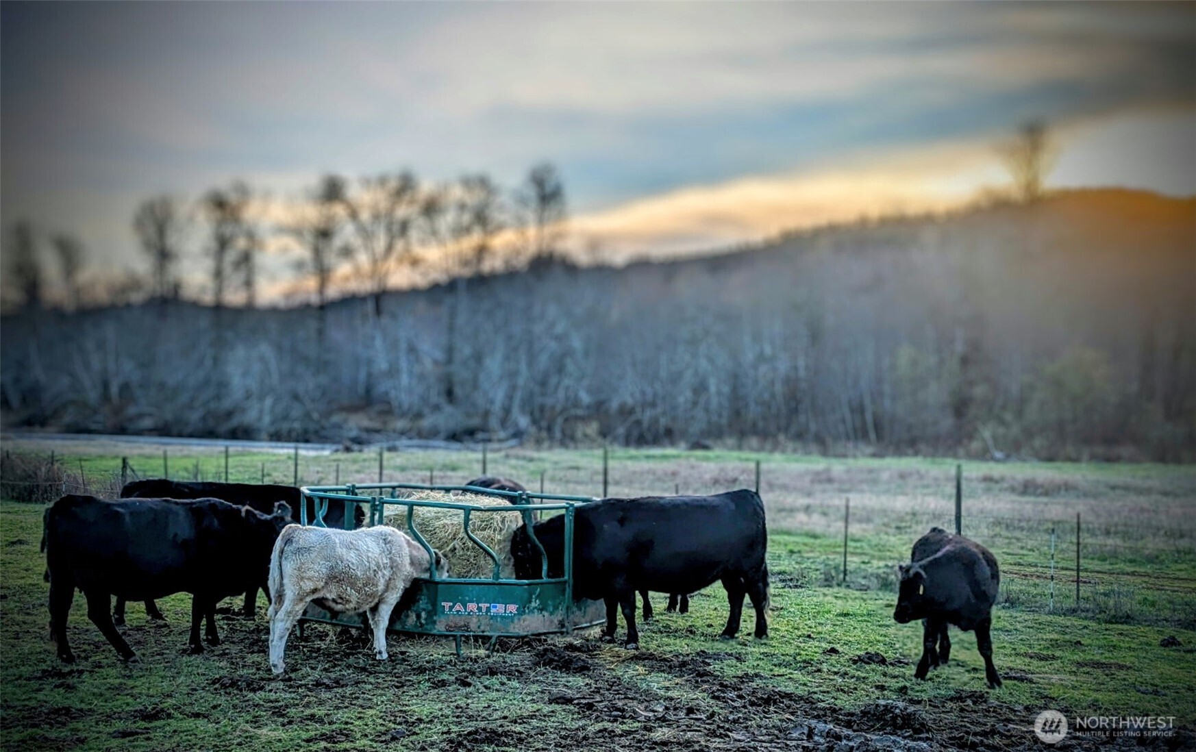 1381 Wynooche Valley Road Montesano WA 98563