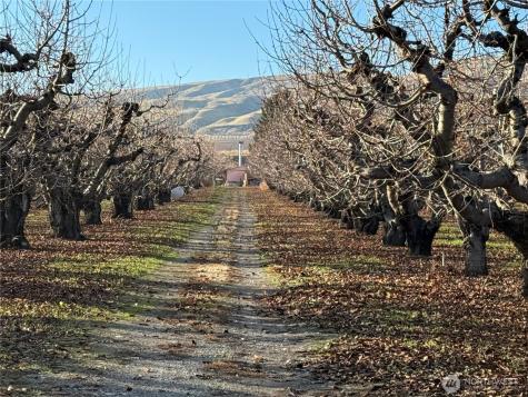 556 Jack Wells Road Bridgeport WA 98813