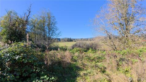 105 E Valley Road Skamokawa WA 98647
