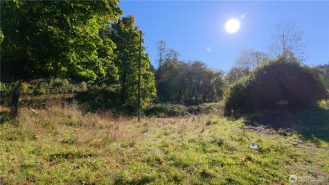 105 E Valley Road Skamokawa WA 98647