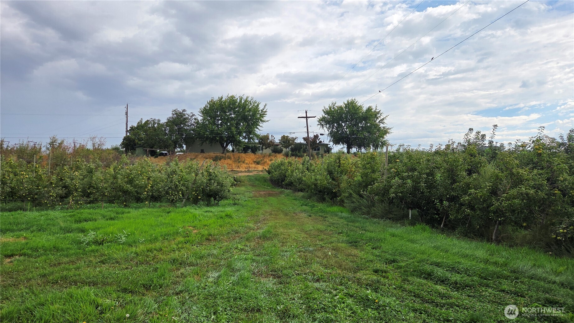19651 W Highway 28 Quincy WA 98848
