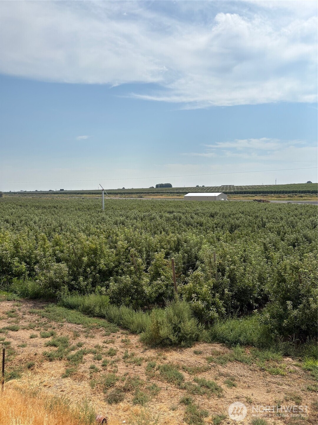 19651 W Highway 28 Quincy WA 98848