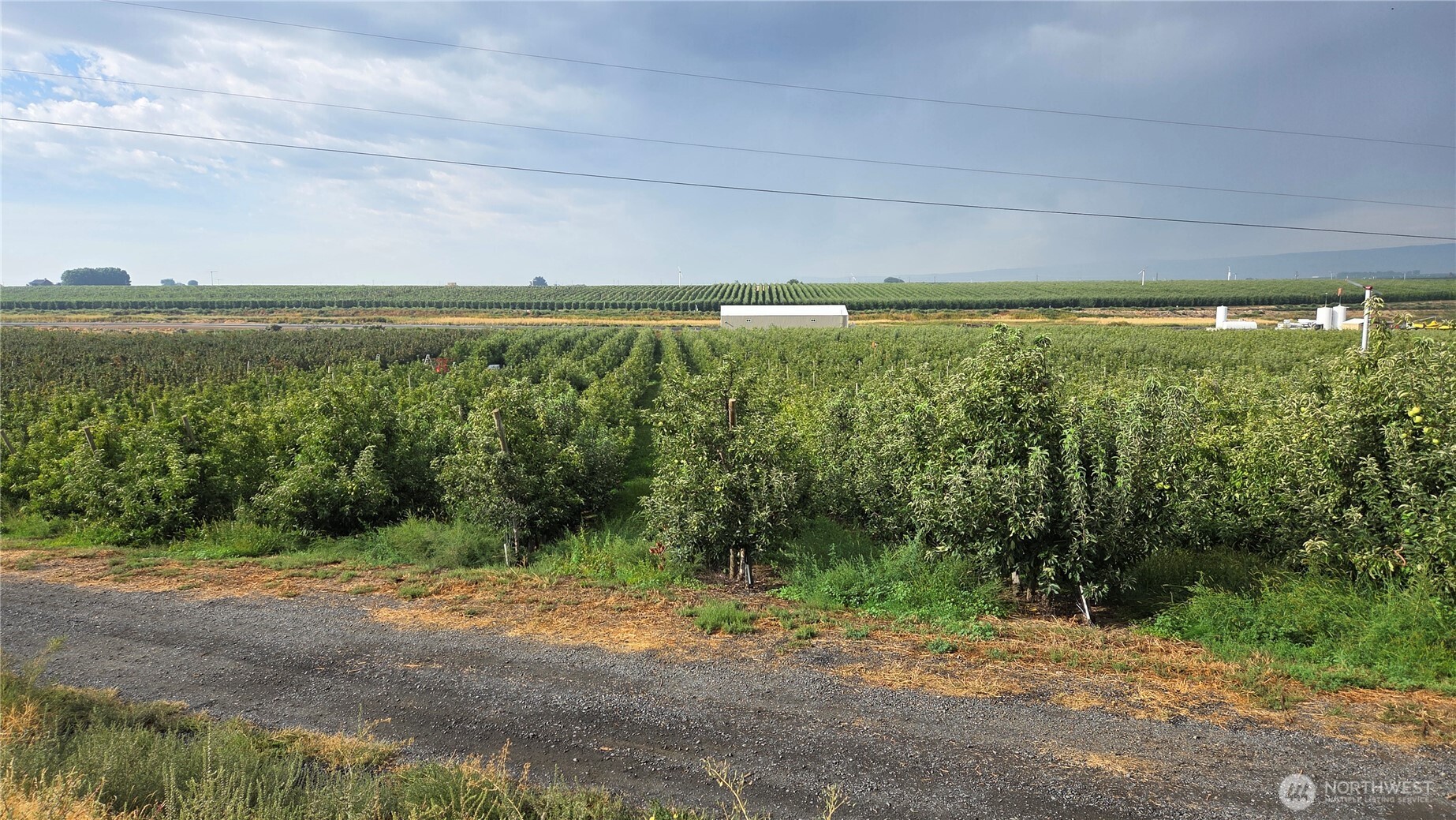 19651 W Highway 28 Quincy WA 98848