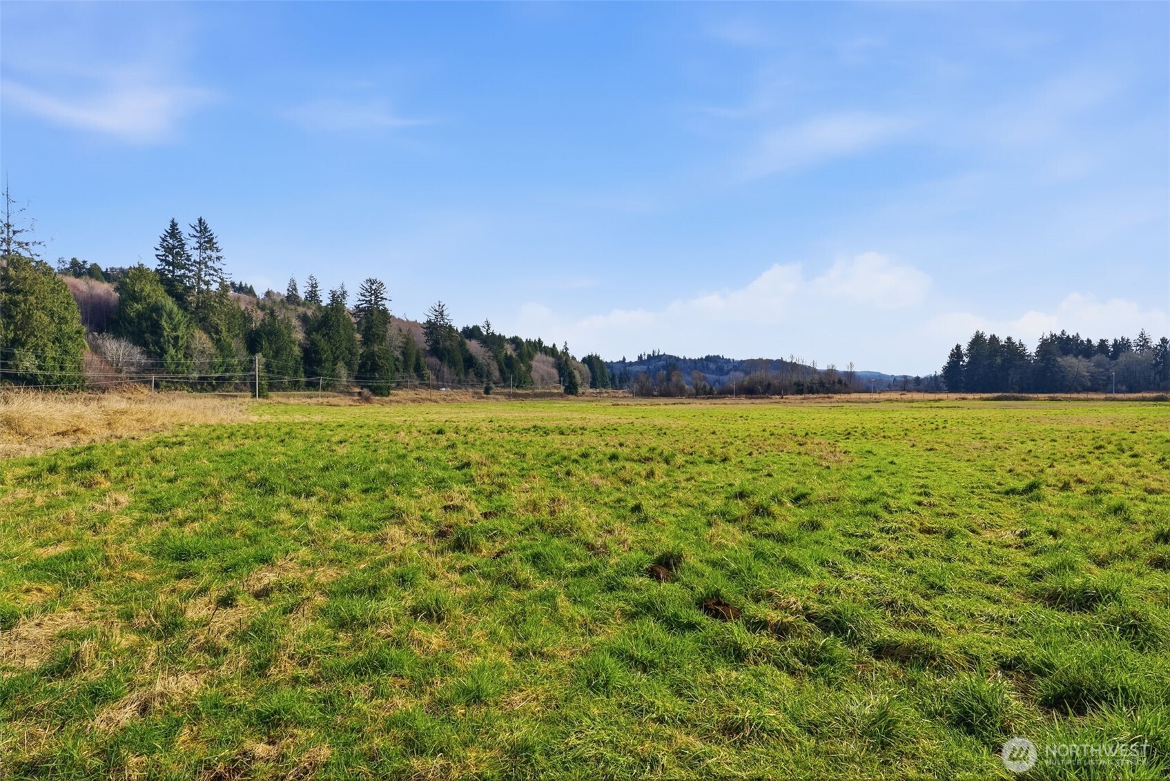 957 W State Route 4 Cathlamet WA 98612