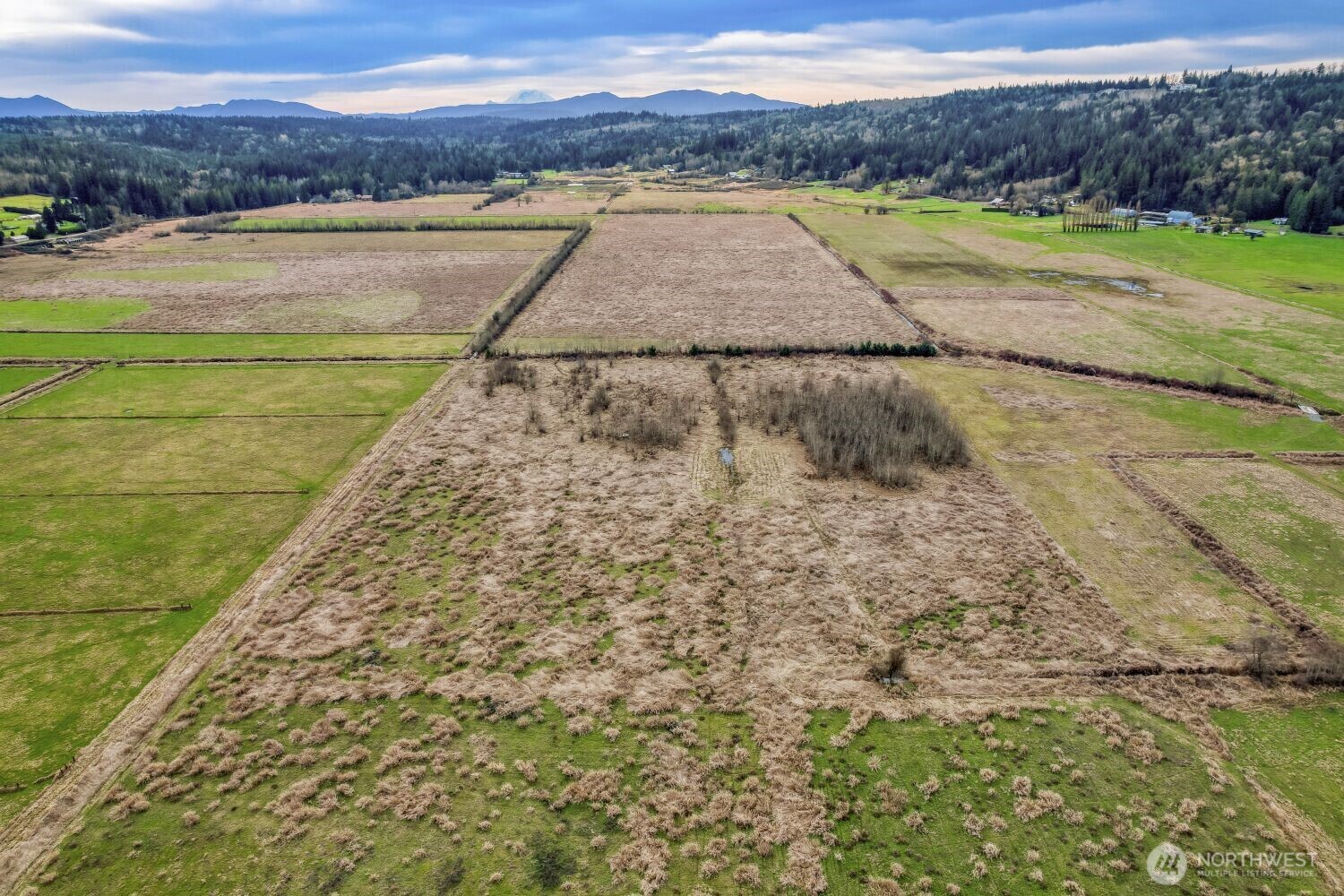 27411 NE 100th Street Carnation WA 98014