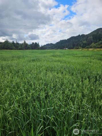 1710 W State Route 4 Skamokawa WA 98647