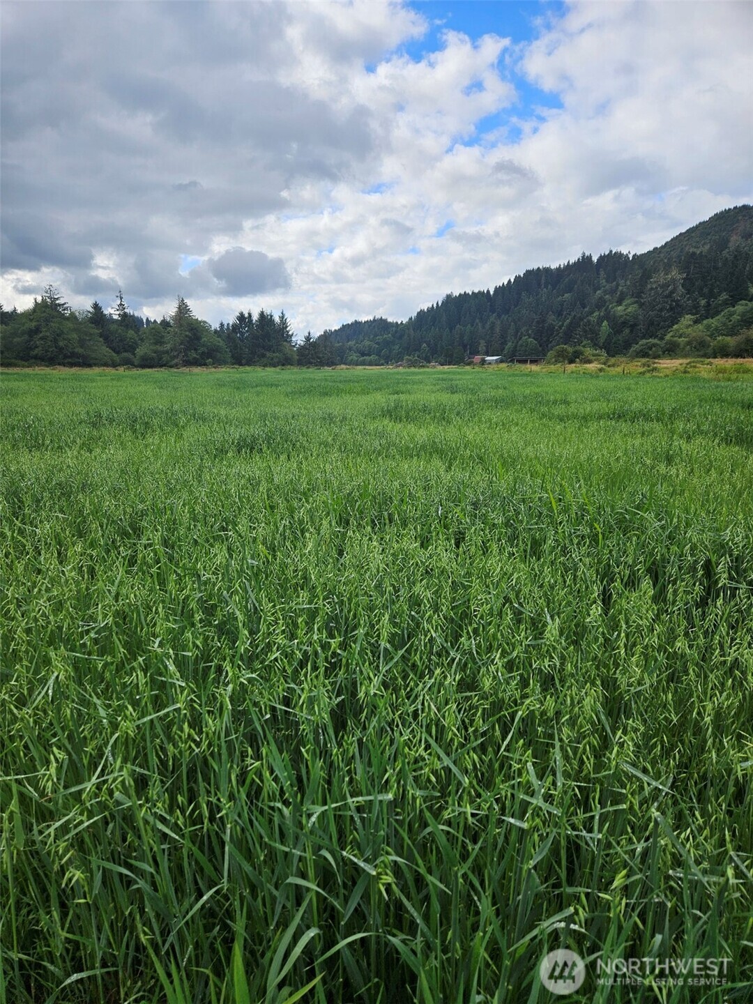1710 W State Route 4 Skamokawa WA 98647