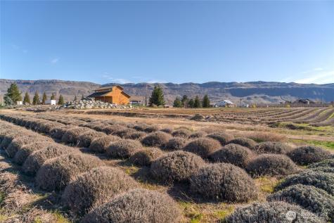 980 S Webb Place East Wenatchee WA 98802