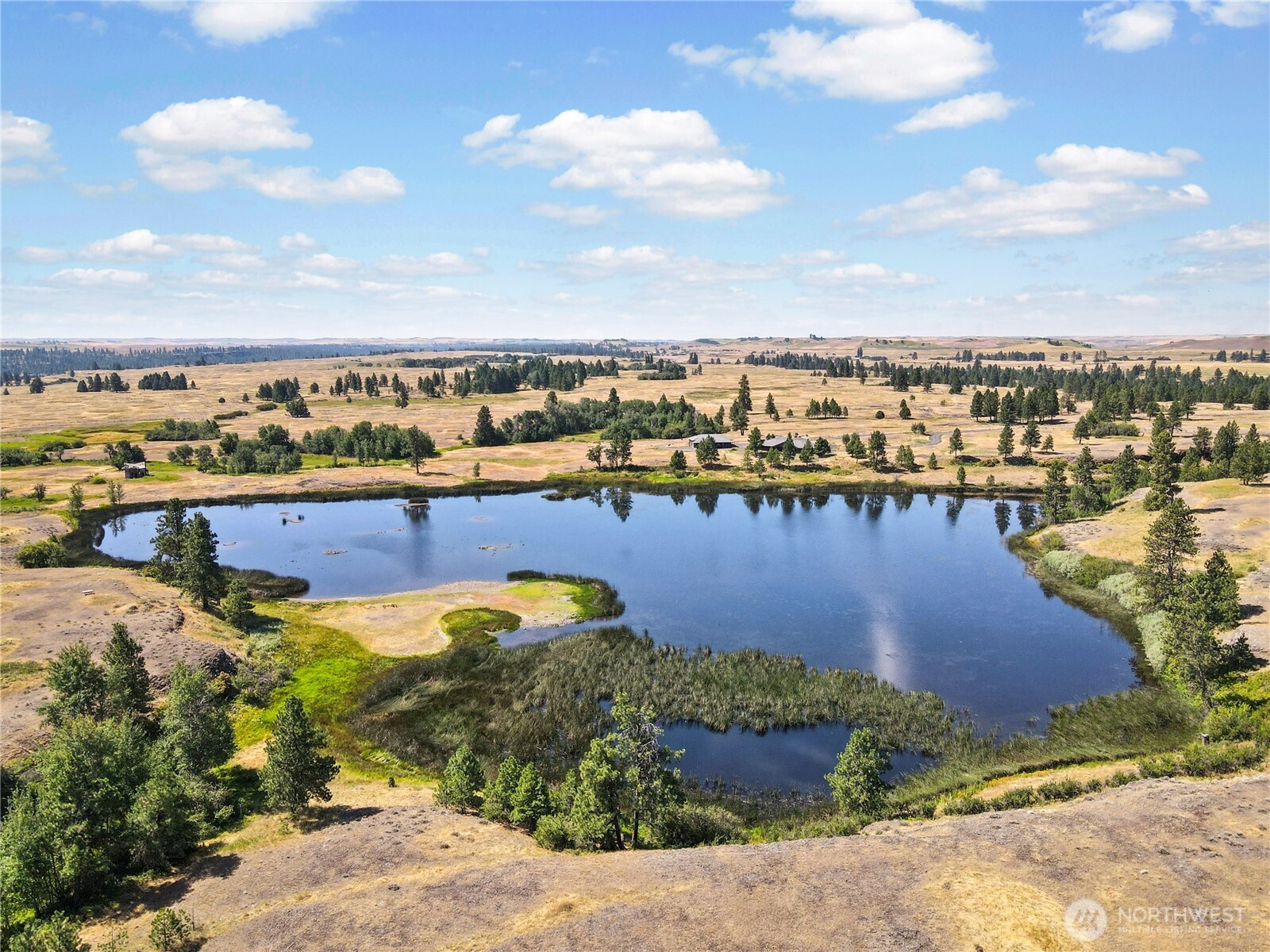 37227 S Long Road Cheney WA 99004