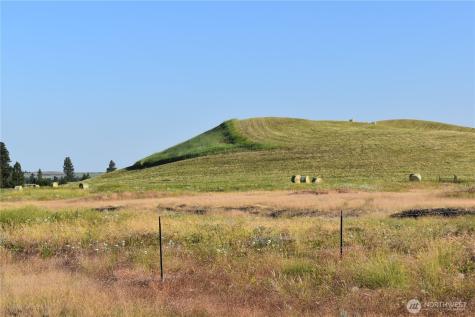 37227 S Long Road Cheney WA 99004