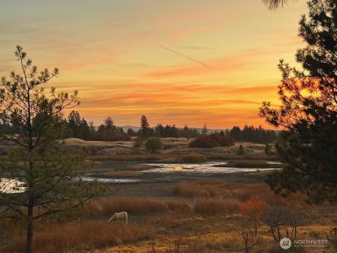 37227 S Long Road Cheney WA 99004