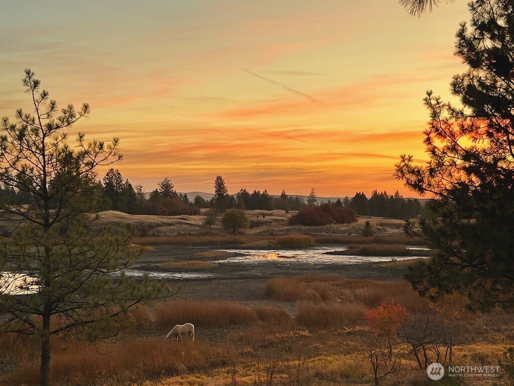37227 S Long Road Cheney WA 99004
