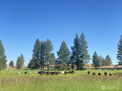 37227 S Long Road Cheney WA 99004