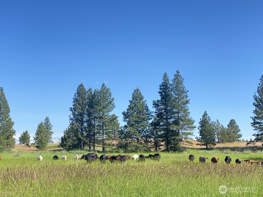 37227 S Long Road Cheney WA 99004