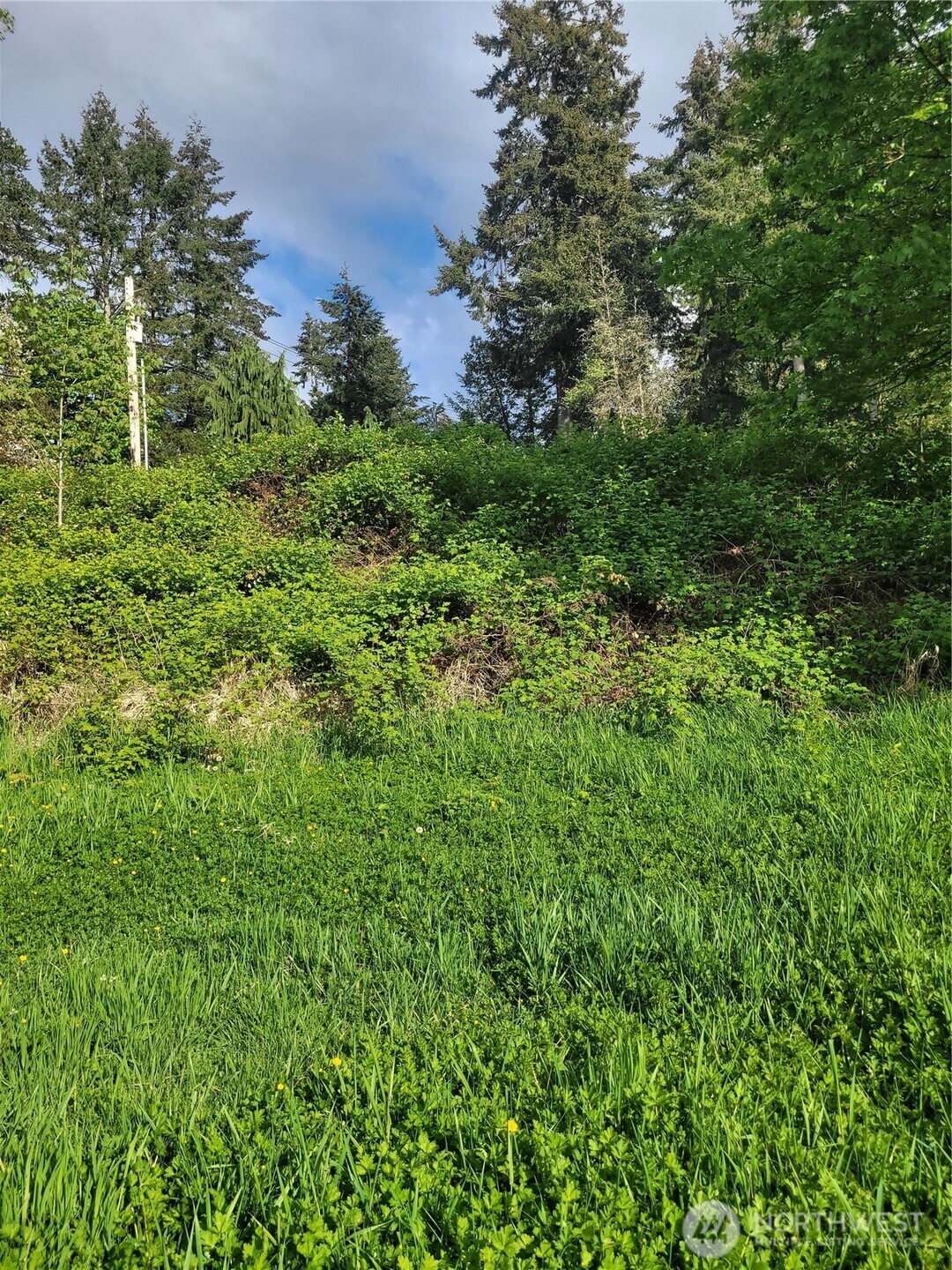 30431 38th Avenue S Auburn WA 98001