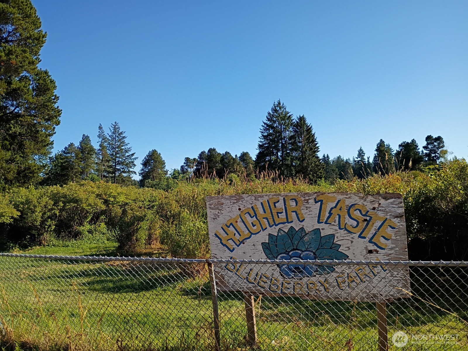 30431 38th Avenue S Auburn WA 98001