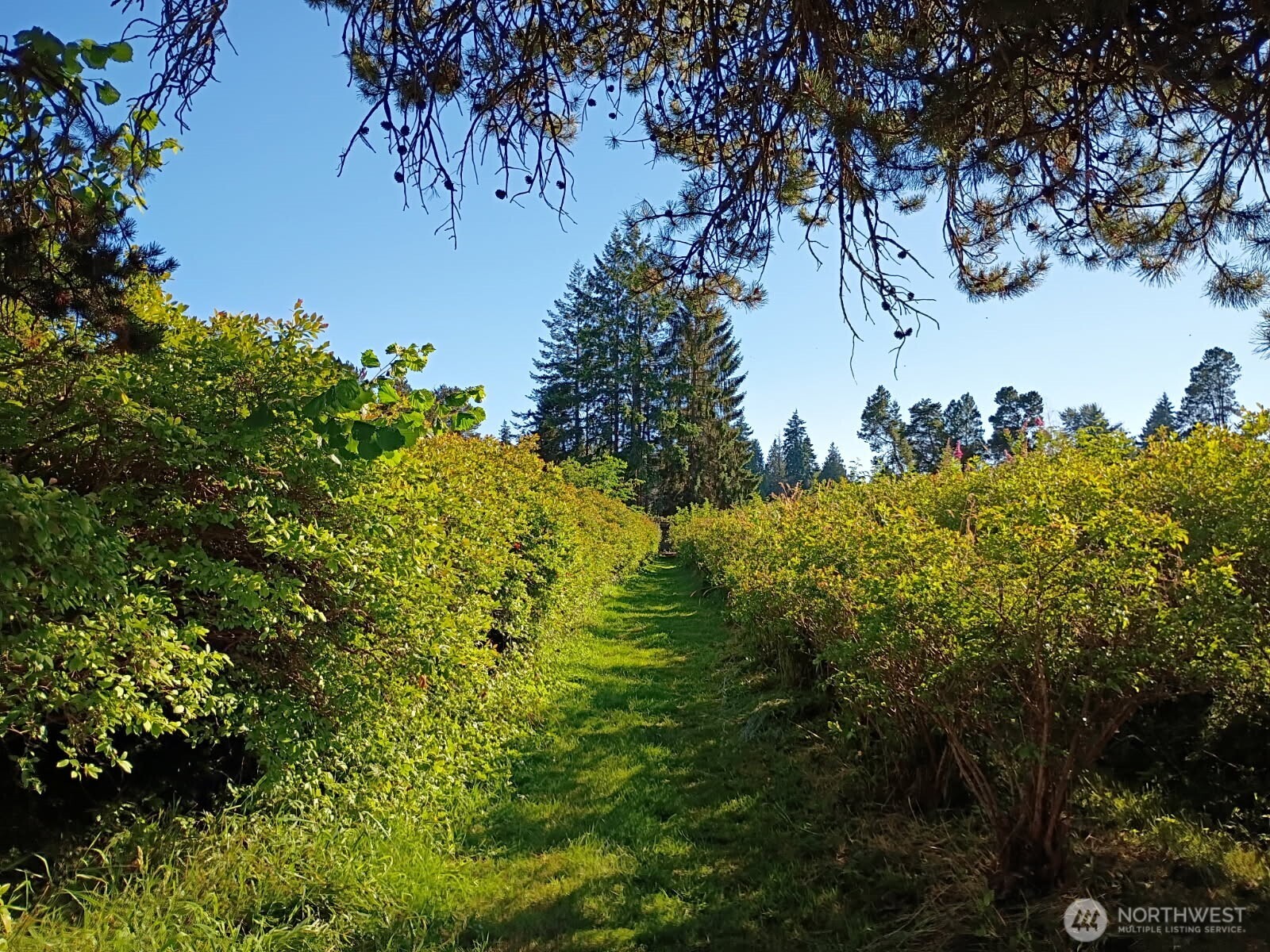 30431 38th Avenue S Auburn WA 98001