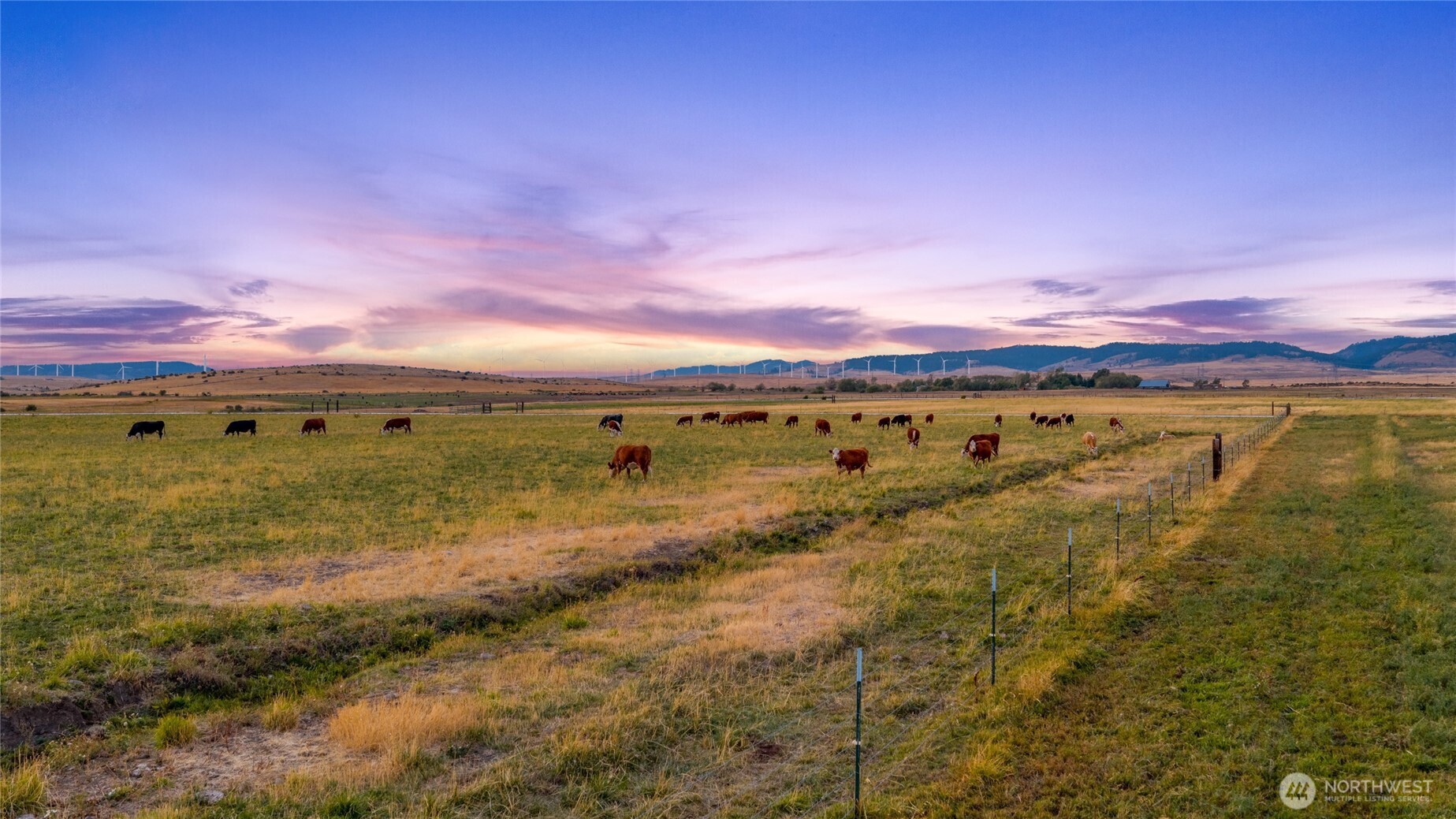 10350 Highway 97 Ellensburg WA 98926