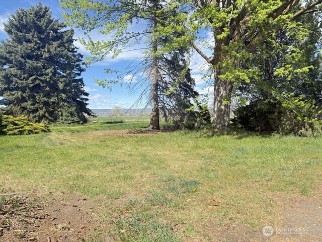 2493 19 NE Soap Lake WA 98851