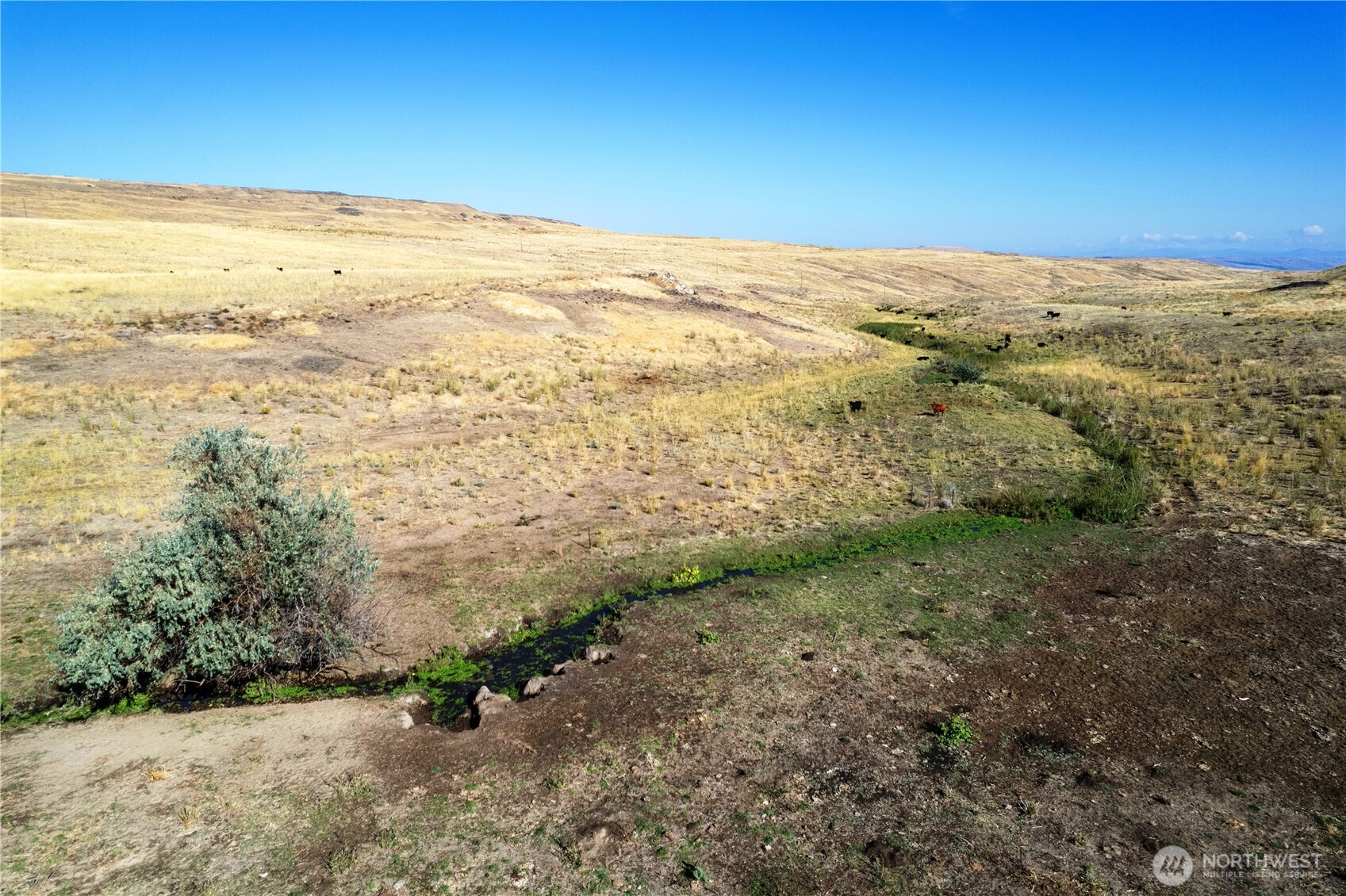 61 Dyer Hill Road Mansfield WA 98830