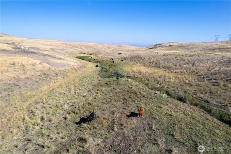 61 Dyer Hill Road Mansfield WA 98830