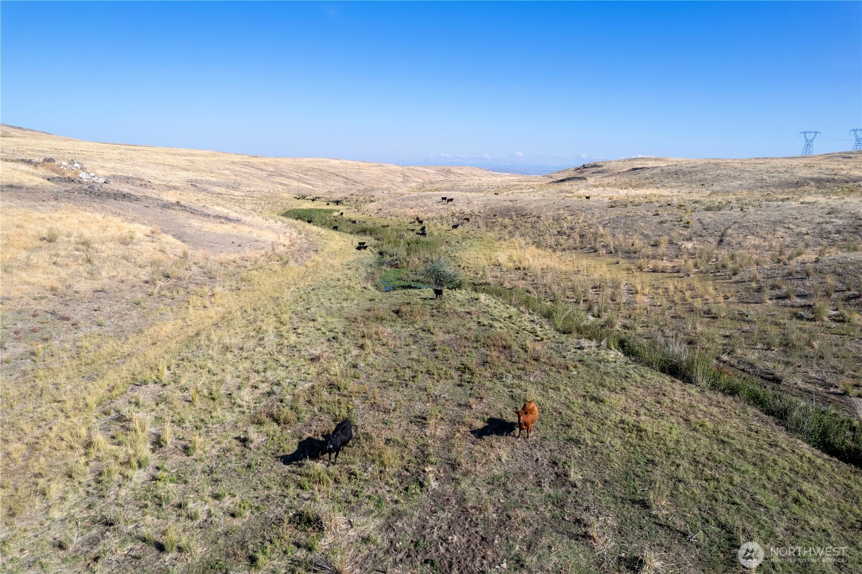 61 Dyer Hill Road Mansfield WA 98830