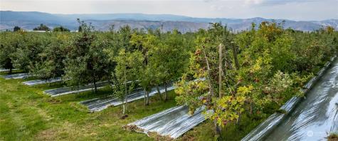 0 N Quincy Avenue East Wenatchee WA 98802