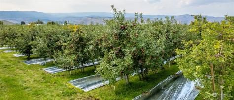 0 N Quincy Avenue East Wenatchee WA 98802