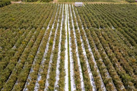 0 N Quincy Avenue East Wenatchee WA 98802