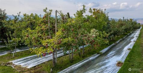 0 N Quincy Avenue East Wenatchee WA 98802