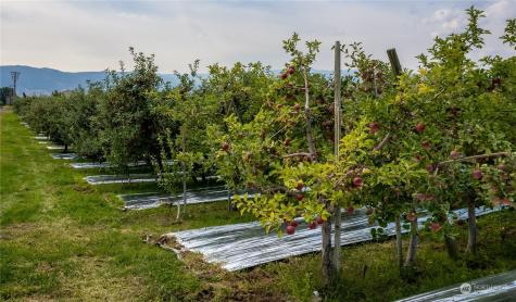 0 N Quincy Avenue East Wenatchee WA 98802