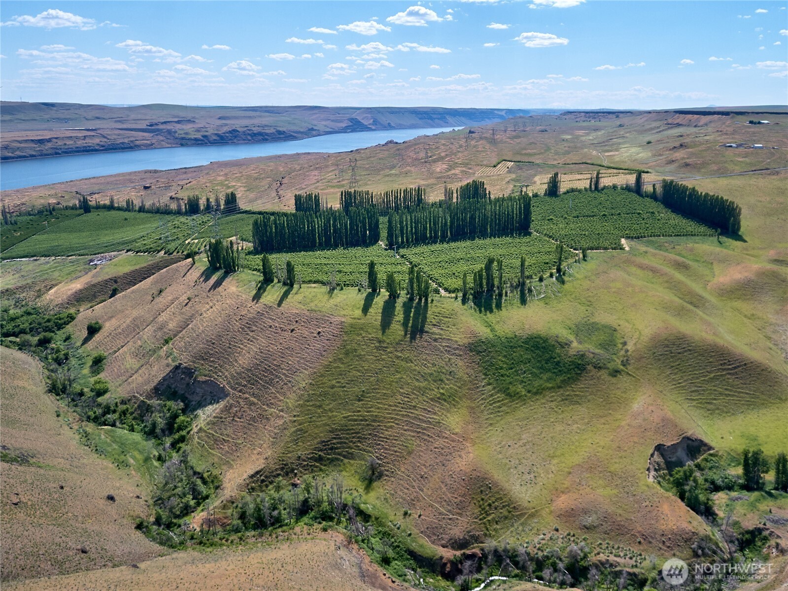 17 Sundale Drive Roosevelt WA 99356