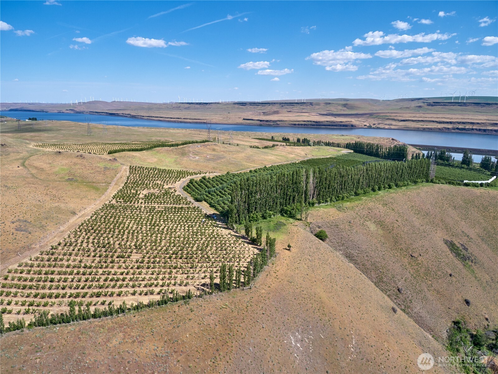 17 Sundale Drive Roosevelt WA 99356