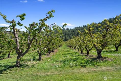 712 Moonlit Lane Wenatchee WA 98801