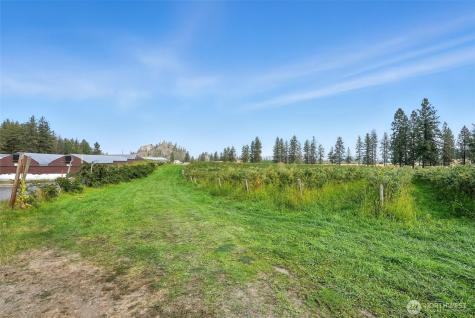 38278 Angels Landing Road N Reardan WA 99013