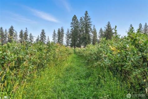 38278 Angels Landing Road N Reardan WA 99013