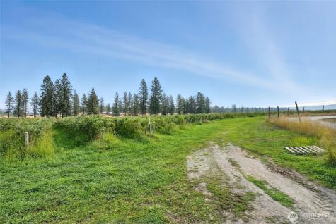 38278 Angels Landing Road N Reardan WA 99013