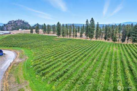 38278 Angels Landing Road N Reardan WA 99013