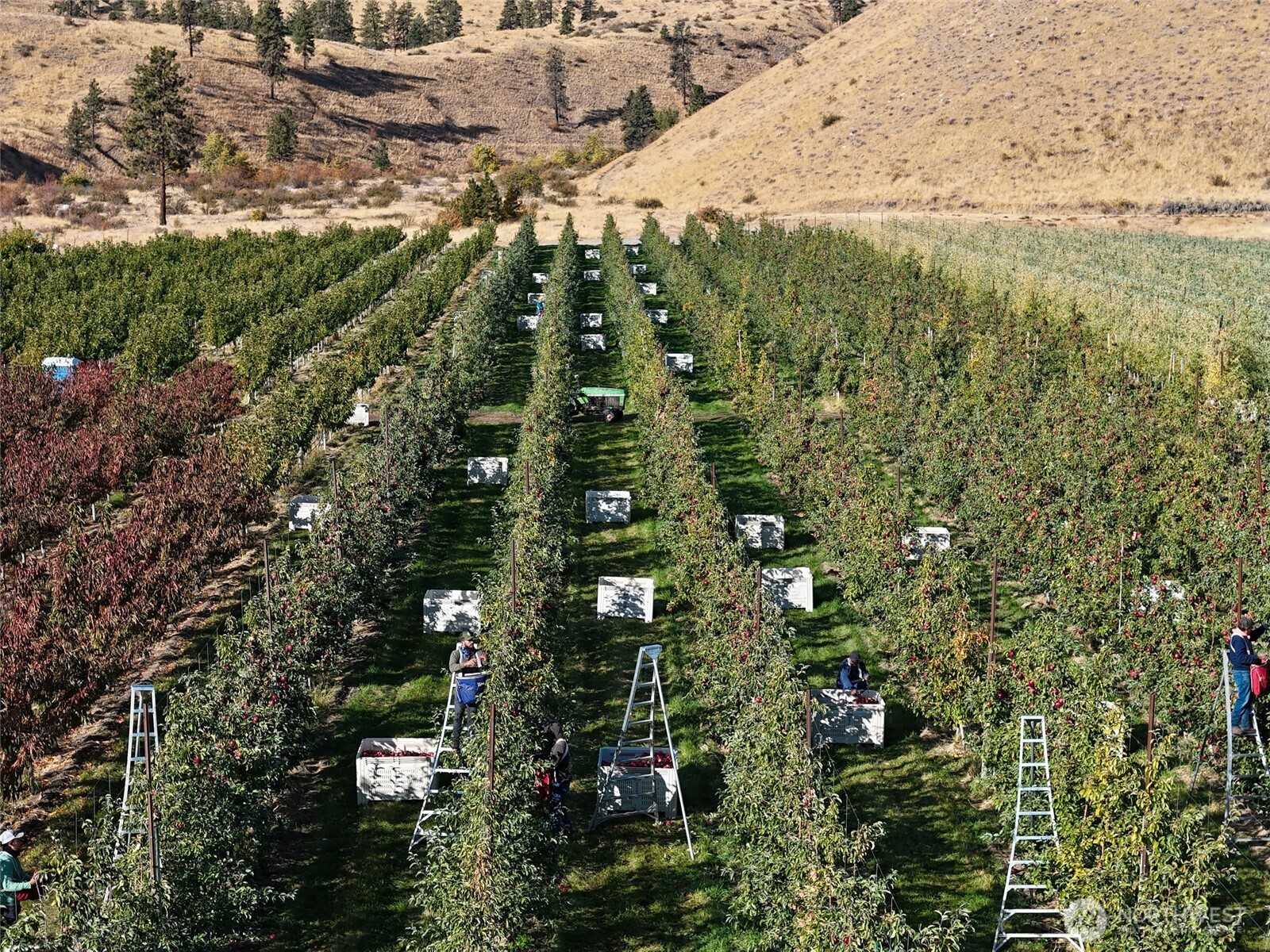 263 Oliver Lane Chelan WA 98816