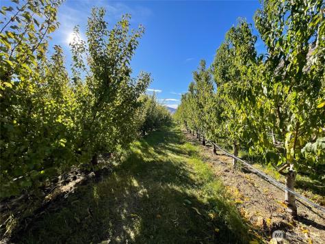 263 Oliver Lane Chelan WA 98816