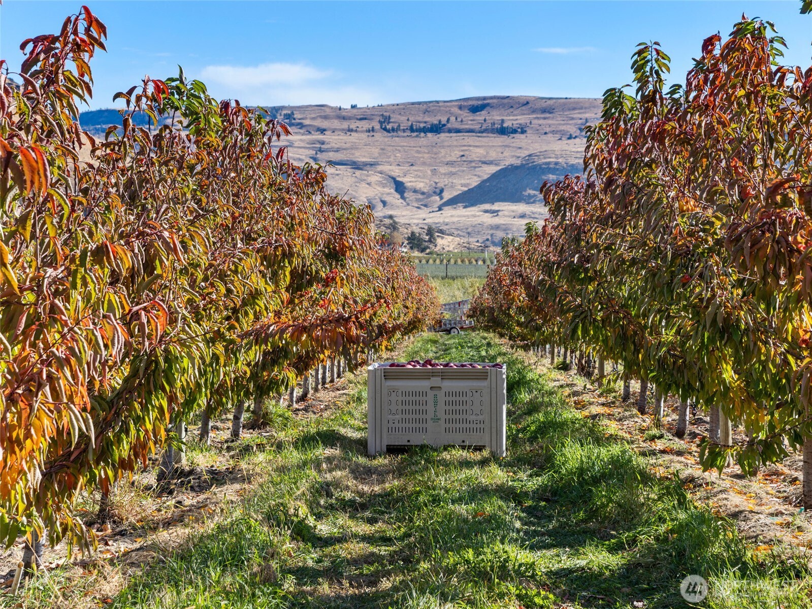 263 Oliver Lane Chelan WA 98816